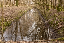 Harderbos