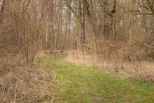 Harderbos
