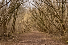 Harderbos