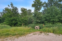 Wandelroute Strandgaperbeek