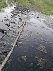 Wandelroute Strandgaperbeek