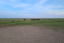 Wandelroute Strandgaperbeek