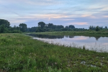 Wandelroute Strandgaperbeek