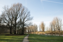 Dorpsbos Biddinghuizen
