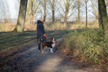 Dorpsbos Biddinghuizen