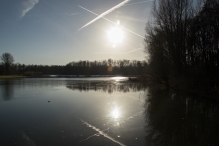 Dorpsbos Biddinghuizen