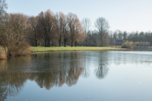 Dorpsbos Biddinghuizen