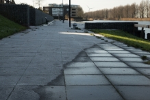 Dorpsbos Biddinghuizen