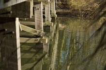 Dorpsbos Biddinghuizen