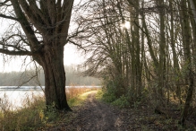 Dorpsbos Biddinghuizen