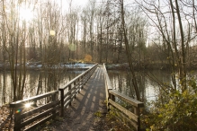 Dorpsbos Biddinghuizen