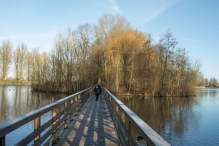 Dorpsbos Biddinghuizen