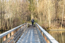 Dorpsbos Biddinghuizen