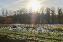 Dorpsbos Biddinghuizen