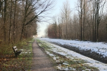 Dorpsbos Biddinghuizen