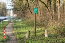 Dorpsbos Biddinghuizen