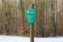 Dorpsbos Biddinghuizen