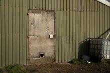 Dorpsbos Biddinghuizen