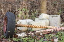 Dorpsbos Biddinghuizen