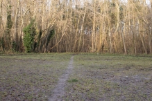 Dorpsbos Biddinghuizen