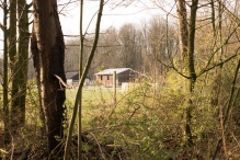 Dorpsbos Biddinghuizen