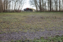 Dorpsbos Biddinghuizen