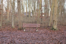 Dorpsbos Biddinghuizen