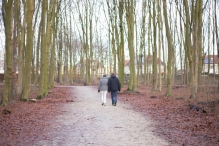 Dorpsbos Biddinghuizen