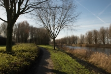 Dorpsbos Biddinghuizen