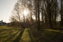 Dorpsbos Biddinghuizen