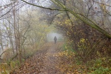 Mistige herfstdag