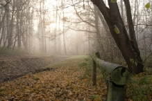 Mistige herfstdag