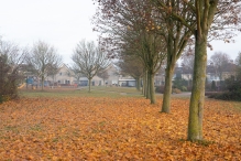 Mistige herfstdag
