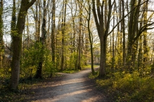 Biddinghuizen / diversen