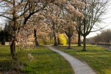Biddinghuizen / diversen