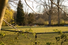 Biddinghuizen / diversen