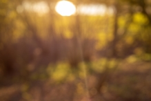 Biddinghuizen / diversen