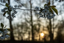 Biddinghuizen / diversen