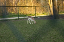 Biddinghuizen / diversen