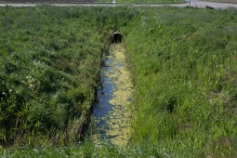 Biddinghuizen / diversen