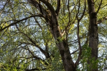 Biddinghuizen / diversen