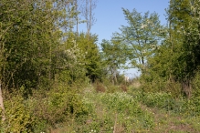 Biddinghuizen / diversen