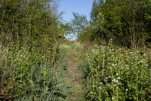 Biddinghuizen / diversen