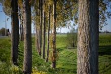 Biddinghuizen / diversen