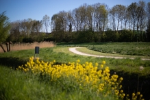 Biddinghuizen / diversen