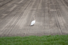 Biddinghuizen - diversen