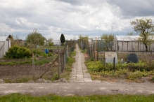 Biddinghuizen - diversen