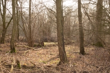 Biddinghuizen - diversen