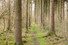 Biddinghuizen - diversen