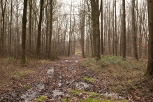 Biddinghuizen - diversen